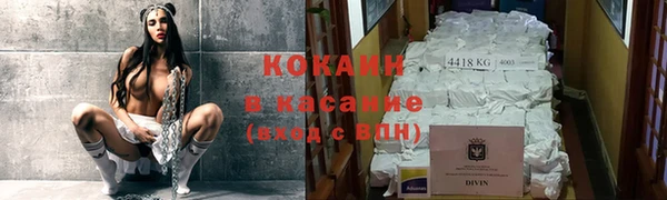 стаф Богданович