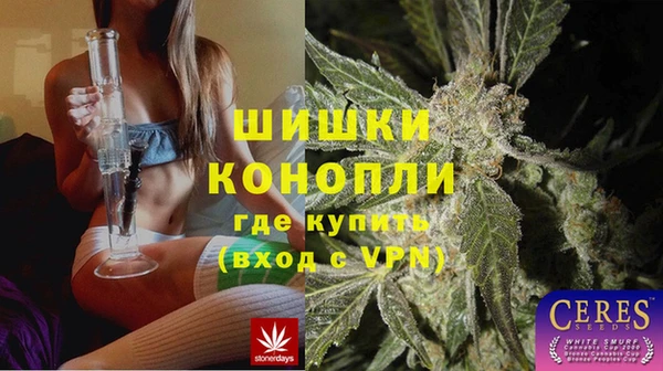 стаф Богданович