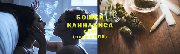 стаф Богданович