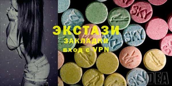 стаф Богданович