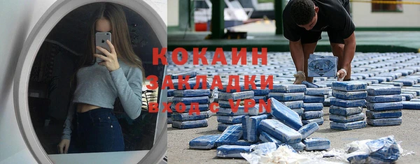 стаф Богданович