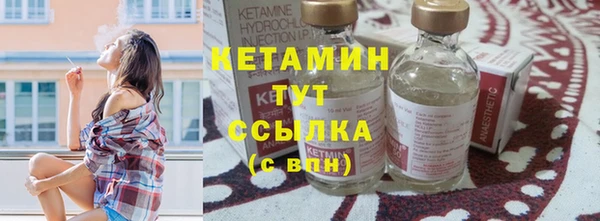 стаф Богданович