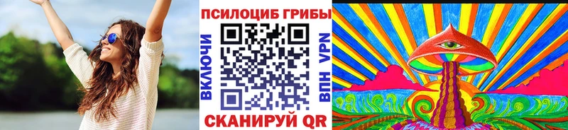 Галлюциногенные грибы Psilocybe где купить наркоту MEGA ссылки Котельниково